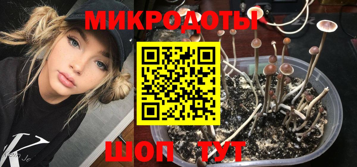 Псилоцибиновые грибы Magic Shrooms  Вход с VPN  где найти наркотики  Галлюциногенные грибы Psilocybine cubensis  Губкин 