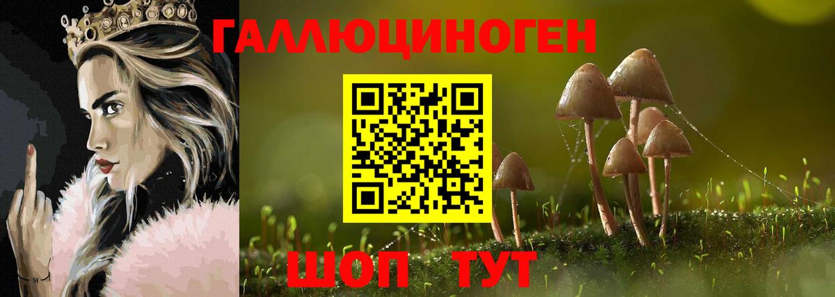 Галлюциногенные грибы мицелий Губкин