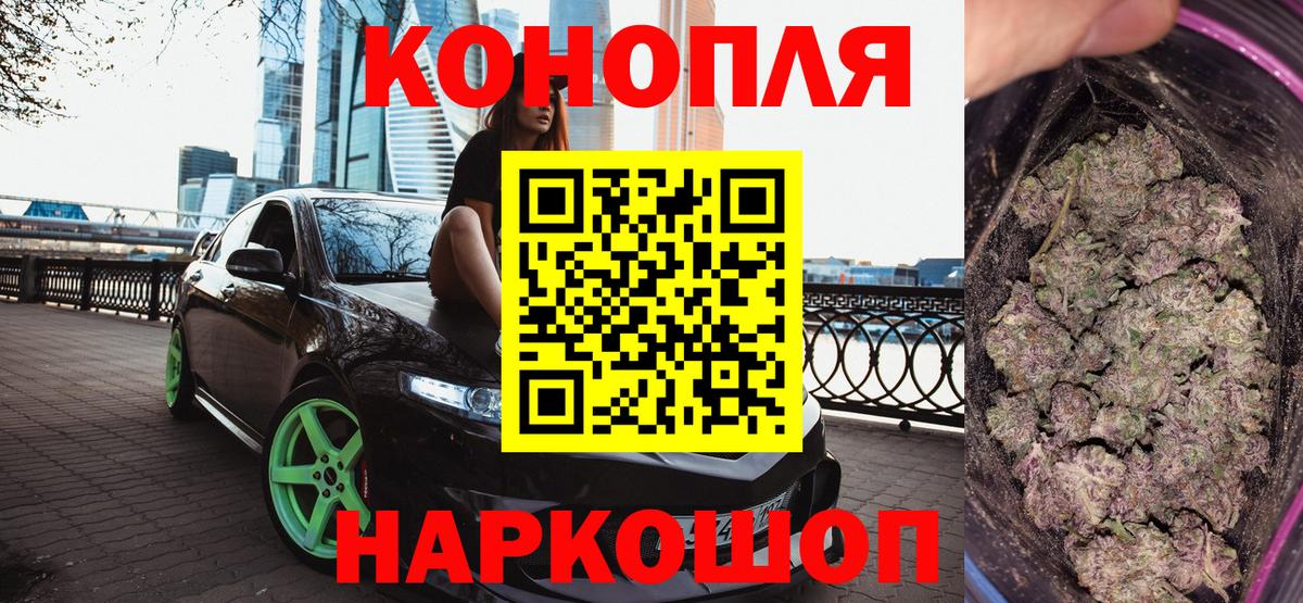 Каннабис индика Губкин